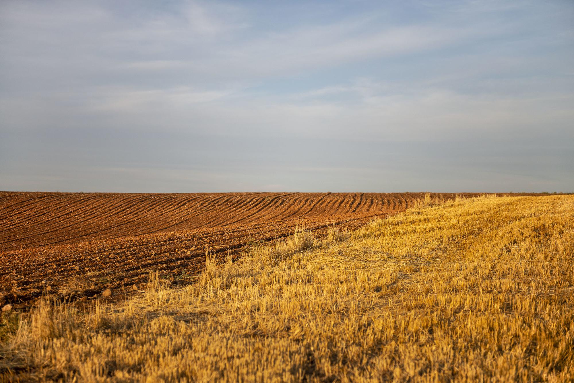 Campo de cultivo en Castilla